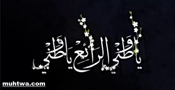 عن الوطن 5 1