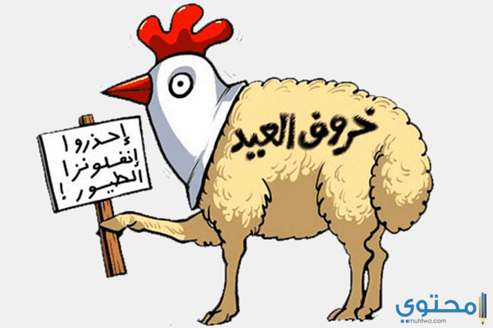 صور عيد الاضحى مضحكة