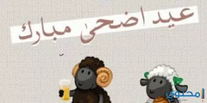 عيد الأضحى مضحكة6