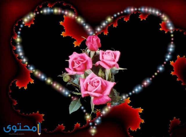 صور قلوب 2019 جميلة جدا موقع محتوى