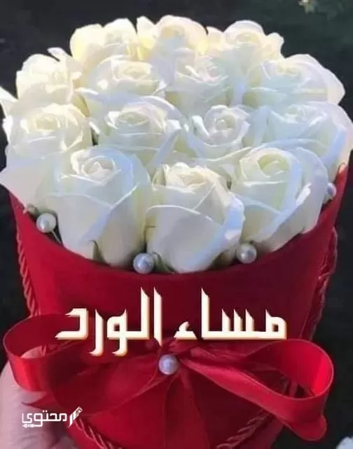 صور مساء الفل والخير جديدة 2024