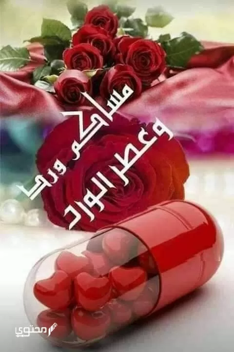 صور مساء الفل والخير جديدة 2024