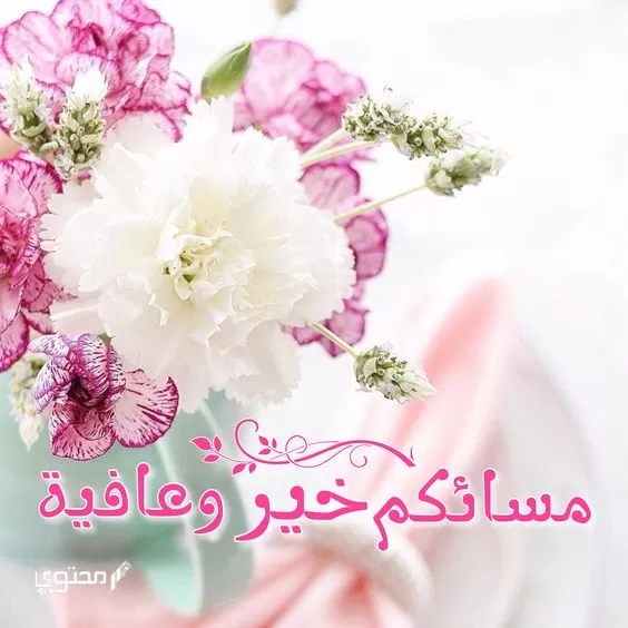 صور مساء الفل والخير جديدة 2024