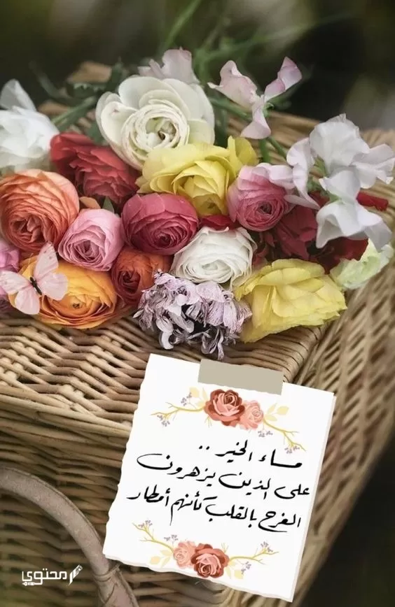 صور مساء الفل والخير جديدة 2024