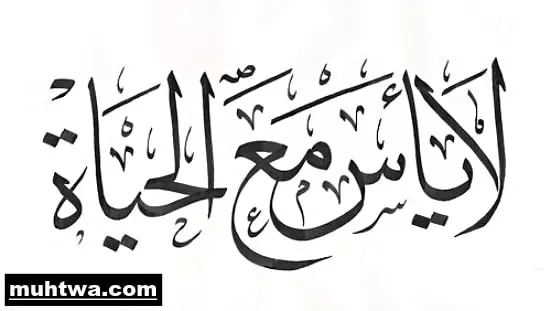 مصطفي كامل 2
