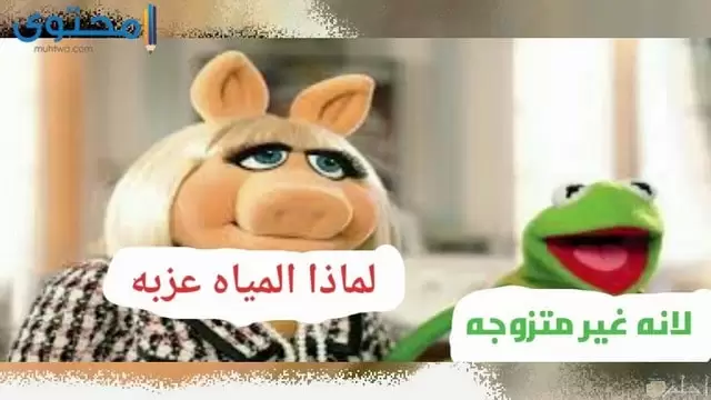 نكت مضحكة جدا