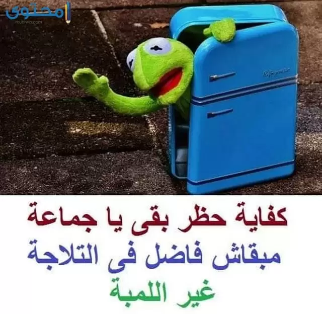 صور مضحكة للواتس 2024