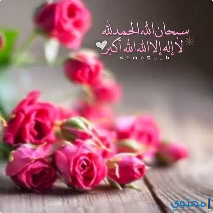 مكتوب عليها عبارات دينية23