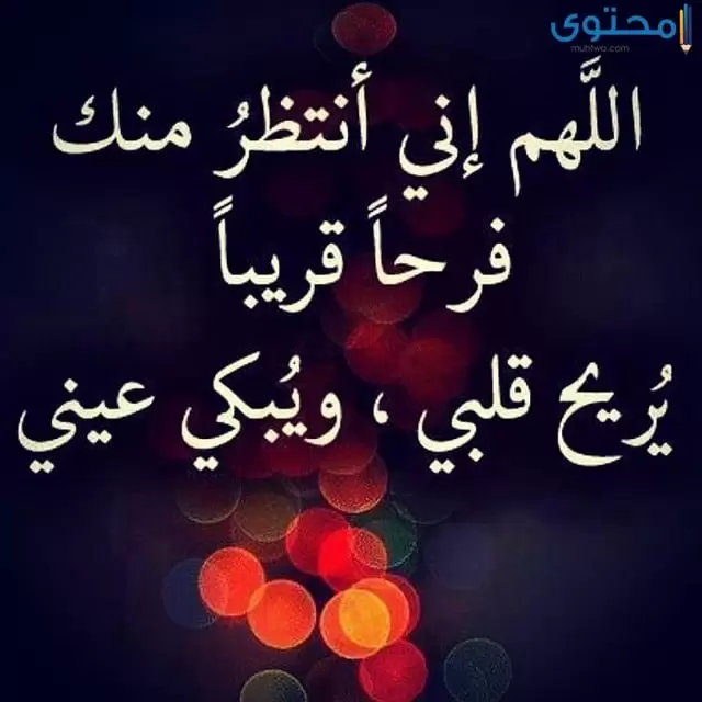 صور جديدة للفيس