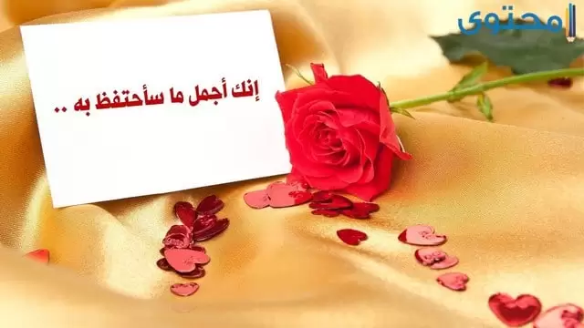 صور منوعة حديثة