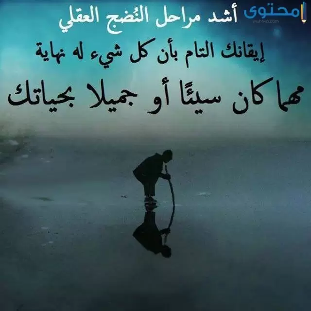 صور حكم جديدة