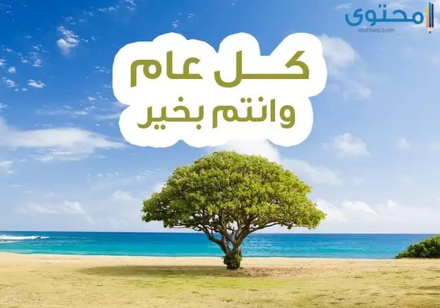 اجمل الصور
