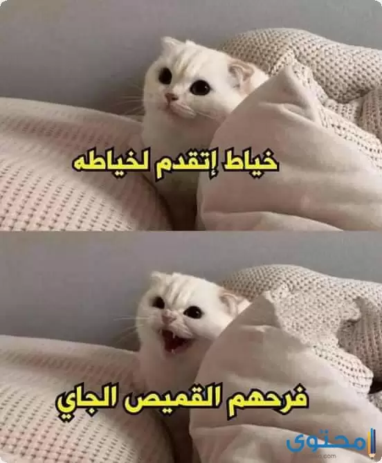 صور نكت مضحكة