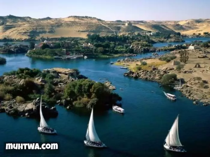 صور نهر النيل 4