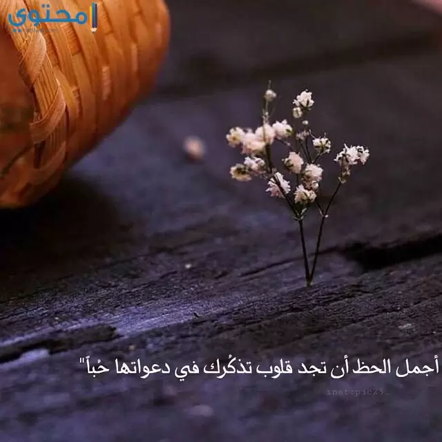 خلفيات واتس جميلة