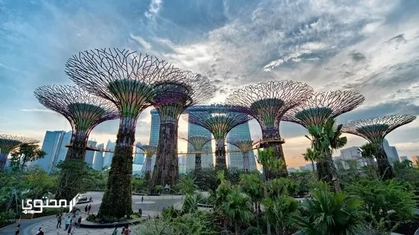 صور وتقرير السياحة في سنغافورة 2024