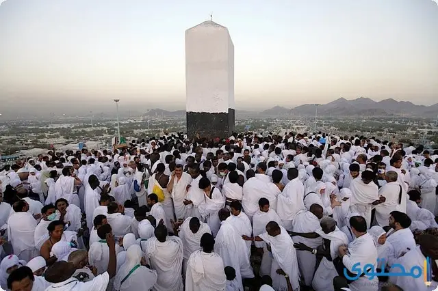 صور يوم عرفة