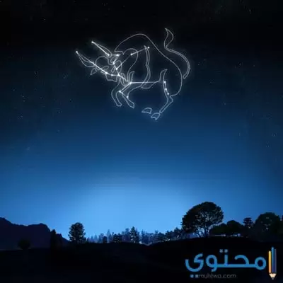 عيوب برج الثور