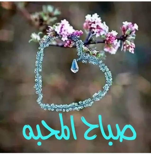 صور صباح الخير