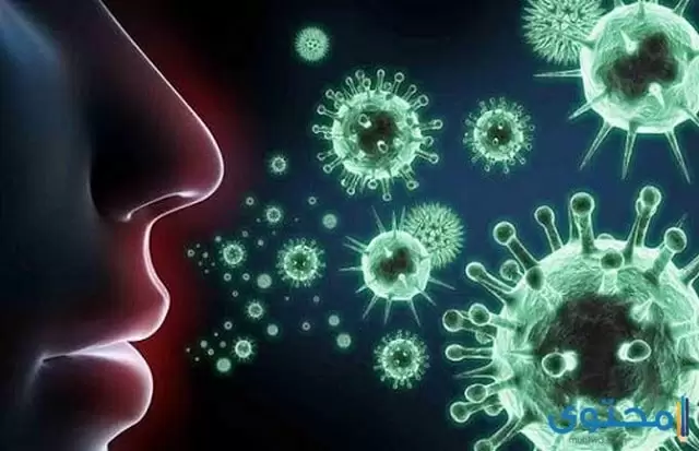 طرق الحماية والوقاية من فيروس كورونا