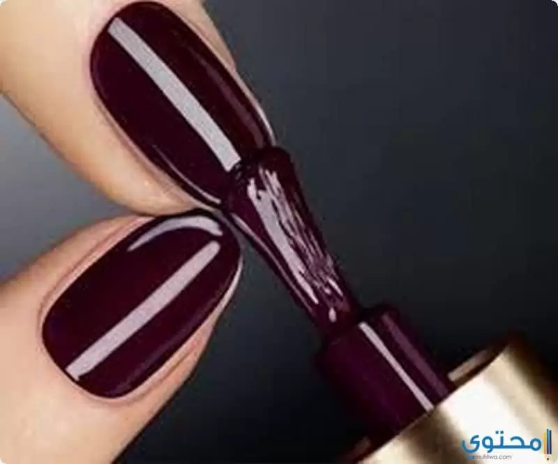 طلاء09