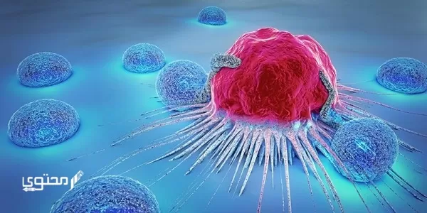 طرق علاج مرض السرطان بالأعشاب 2024