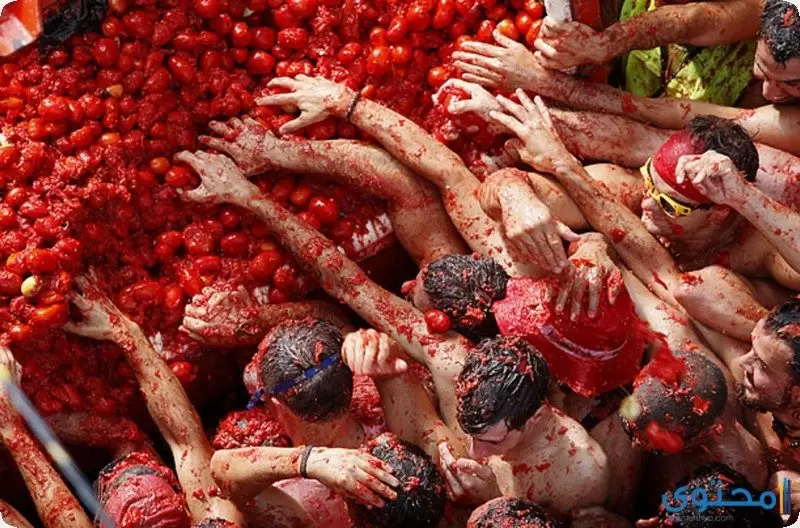 مهرجان ” الطماطم ” في اسبانيا