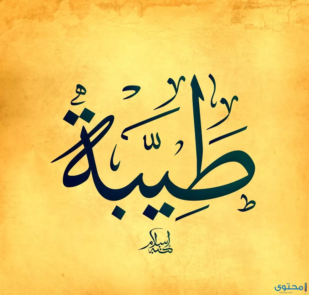 معنى اسم طيبة