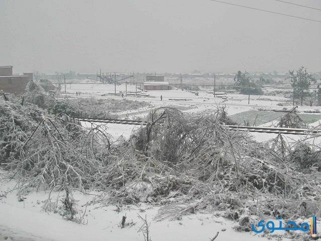عاصفة الصين الشتوية 2008 ـ الصين