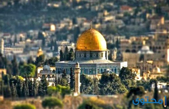 ما هي عاصمة فلسطين (القدس)