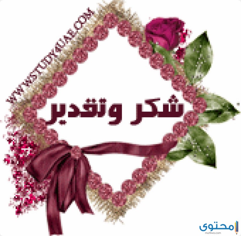 عبارة شكر للطالبات المتفوقات