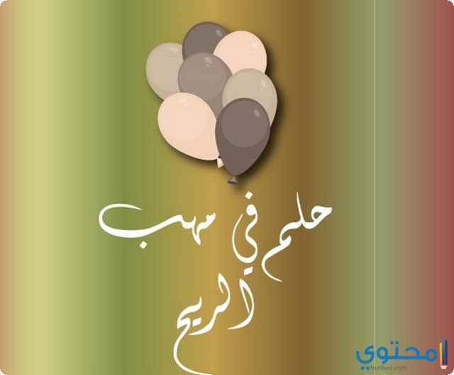 كلمات عن الاحلام الضائعة كلمات عن الاحلام الضائعة