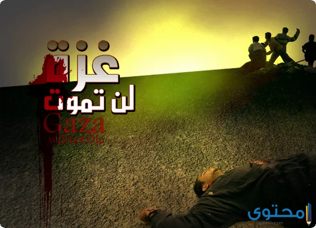 اجمل ما قيل عبارات عن غزة 2024 (أقوال عن المقاومة في غزة)