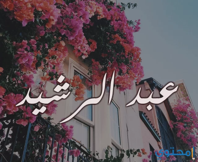 الرشيد
