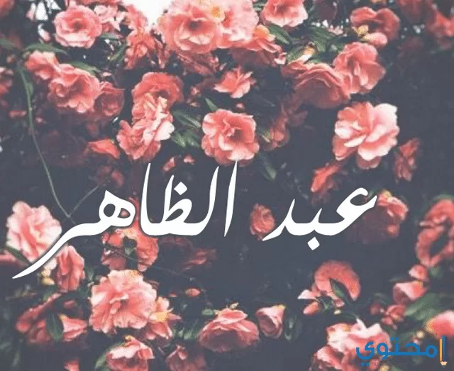 الظاهر