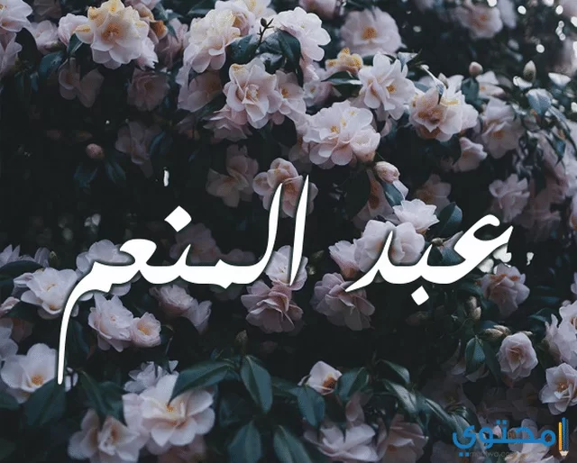 المنعم
