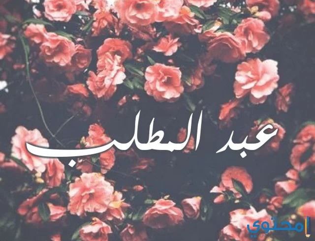 عبدالمطلب