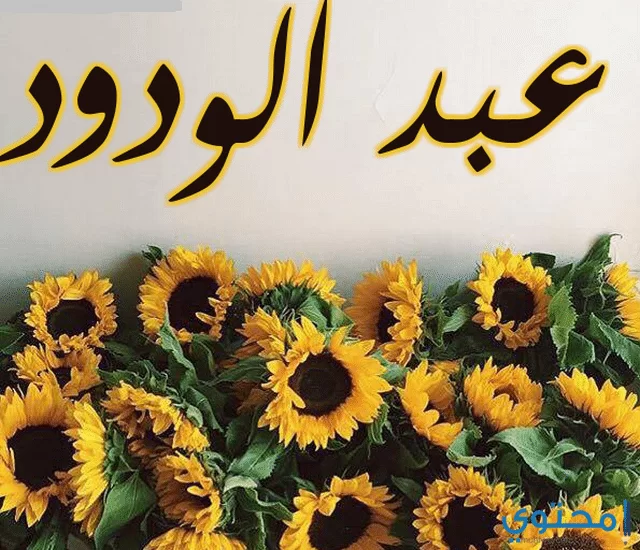 عبد الودود