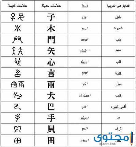 عدد الصينية كم احرف اللغة كم عدد