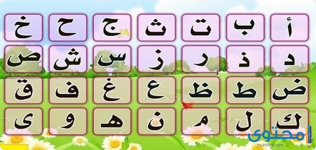 عدد الحروف الهجائية في اللغة العربية