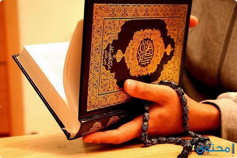 عدد سور القرآن الكريم التي سميت بأسماء الأنبياء موقع محتوى