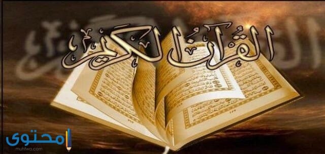 الكريم عدد سور القرآن كم عدد