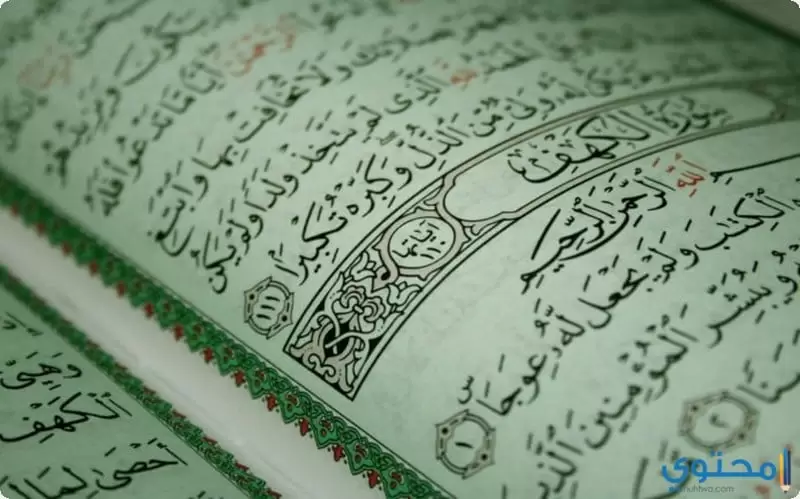 صفحات وآيات القرآن الكريم2