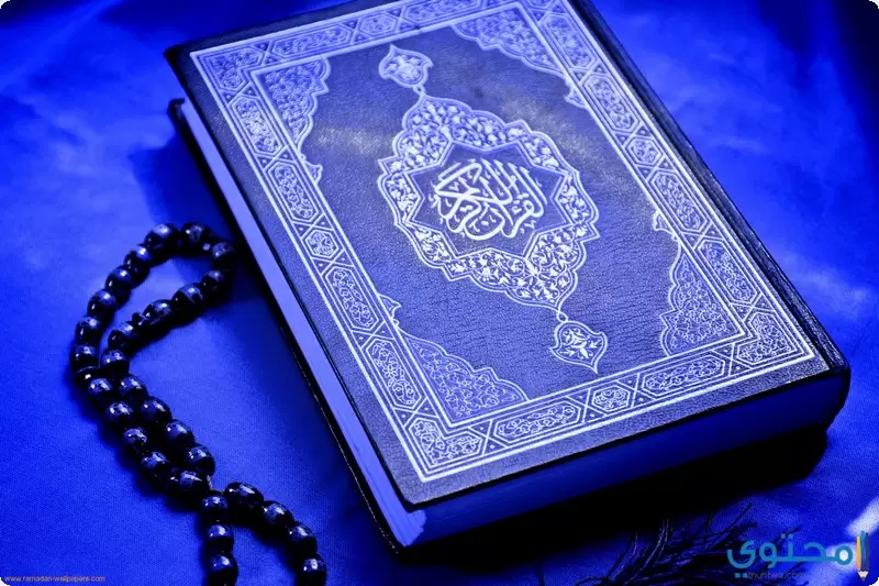صفحات وآيات القرآن الكريم3