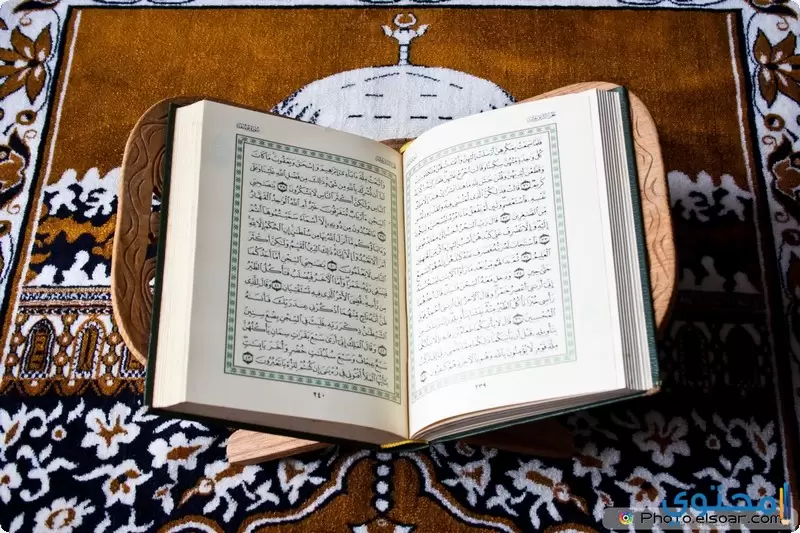 صفحات وآيات القرآن الكريم4