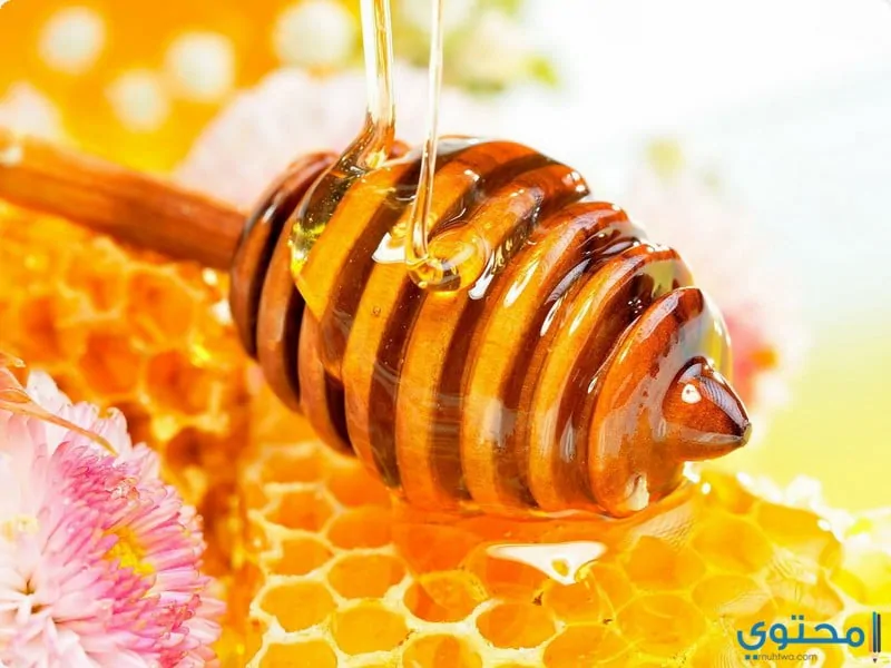 فوائد عسل النحل : 13 فائدة للعسل أهمها تعزيز صحة القلب