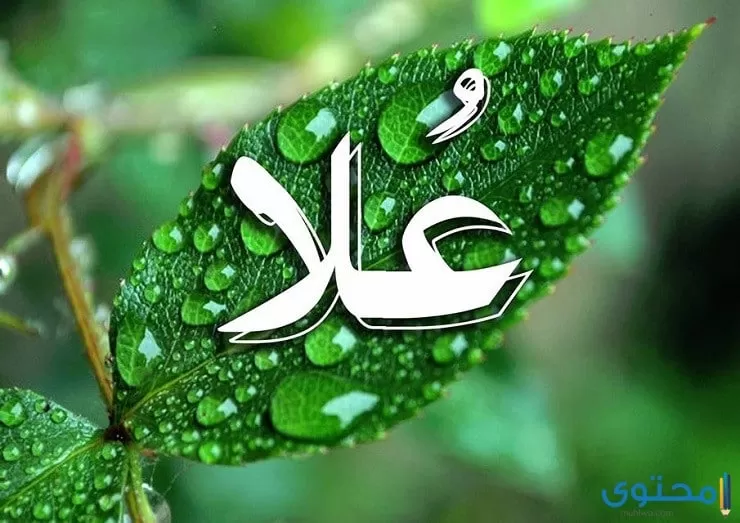 اسم علا