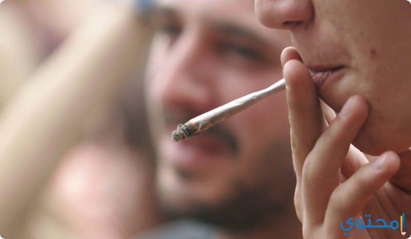 أهم أضرار إدمان الحشيش