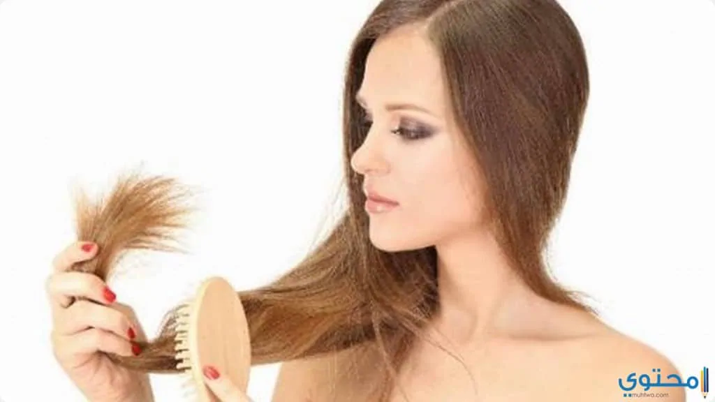 وصفة طبيعية لعلاج الشعر الجاف