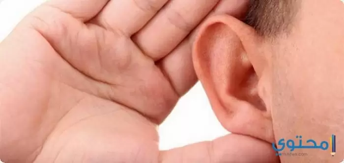 طرق علاج مشاكل الأذن والسمع بالأعشاب